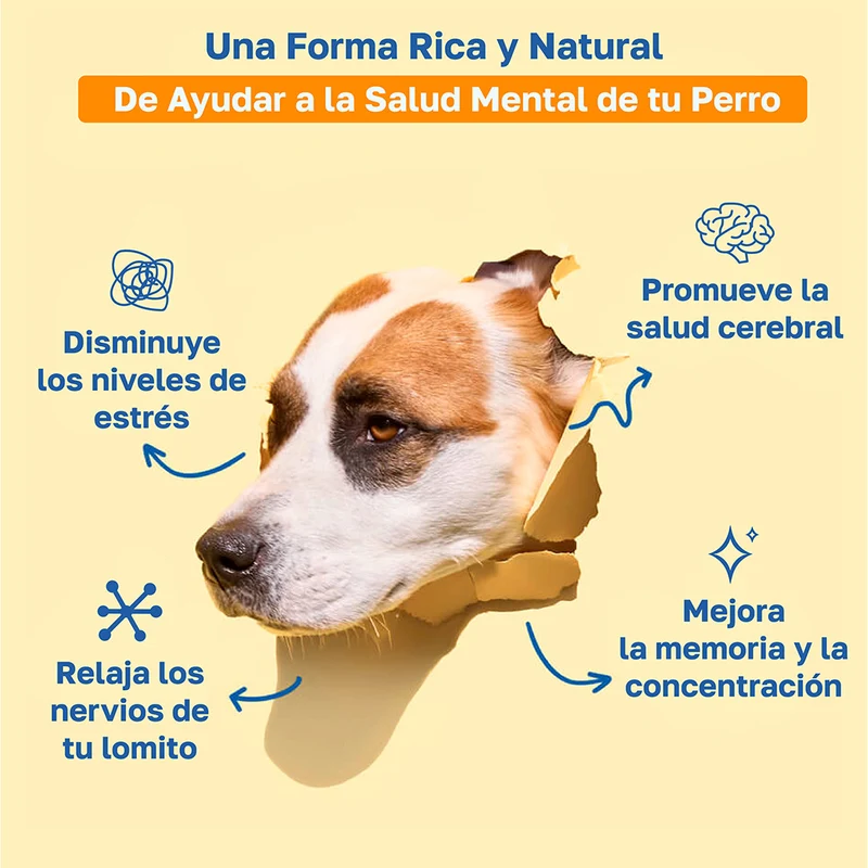 Beneficios de Happy Paws Cognitive