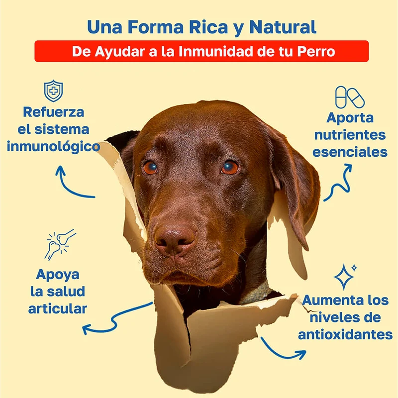 Beneficios de Happy Paws Immunity