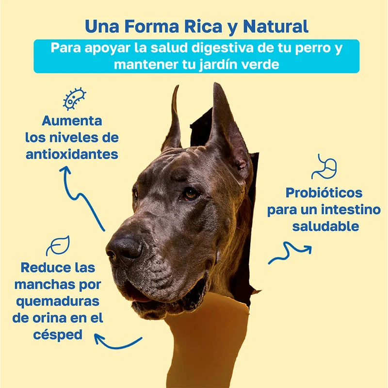 Beneficios de Happy Paws Lawn Saver