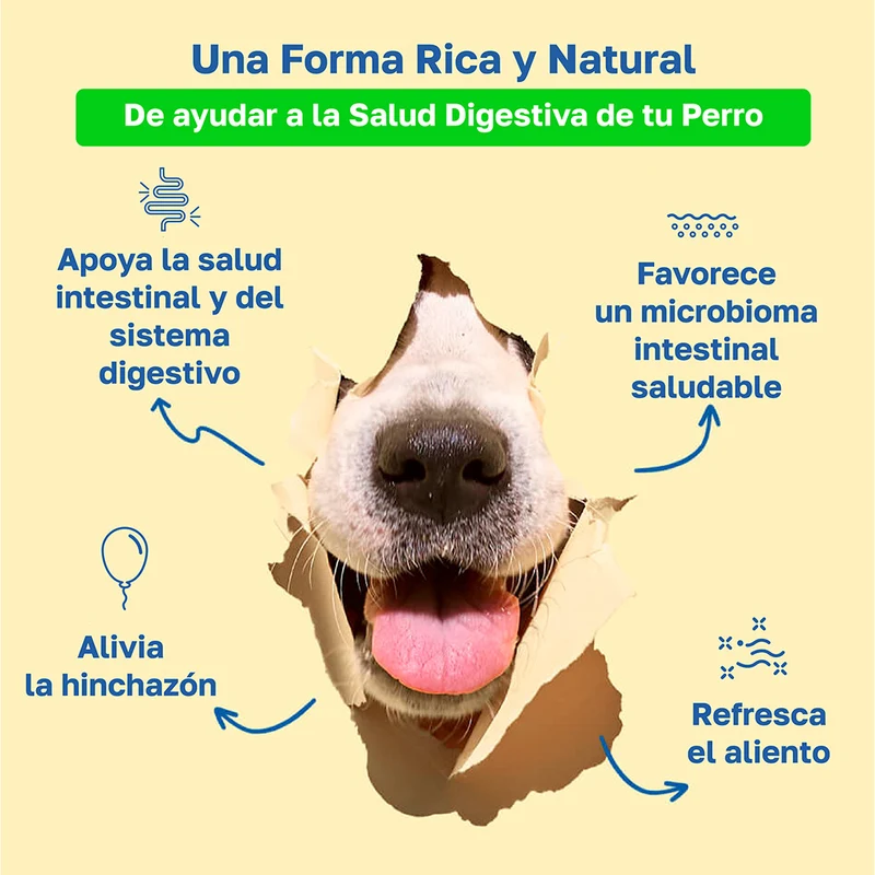 Beneficios de Happy Paws Probiotic