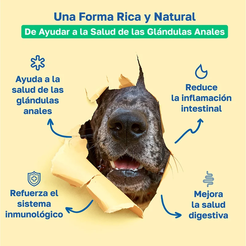 Beneficios de Happy Paws Scoot Stop